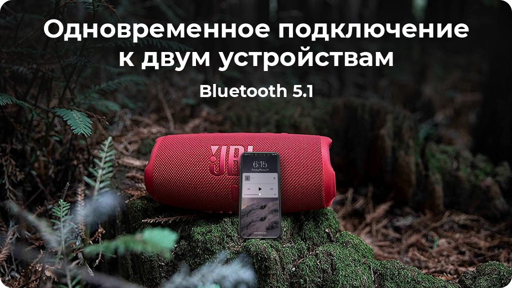 Портативная акустика JBL Charge 5,черный